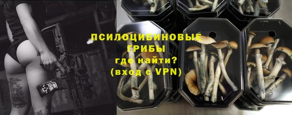 шишки Богданович