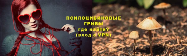 таблы Богородск