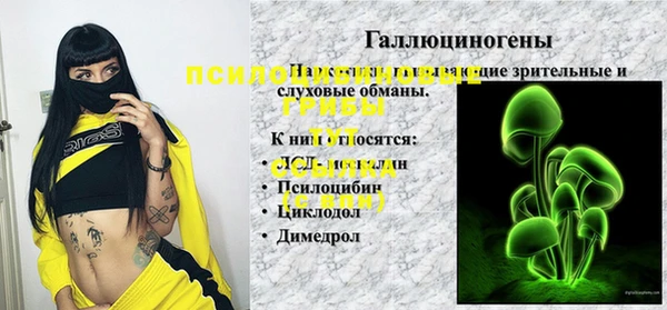 шишки Богданович