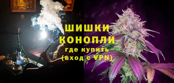 шишки Богданович