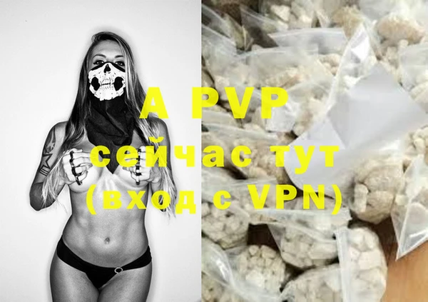 a pvp Белокуриха