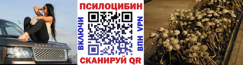 Галлюциногенные грибы мухоморы  купить наркоту  Владивосток 